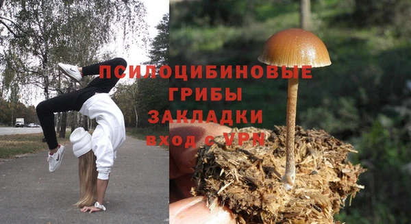 героин Алзамай