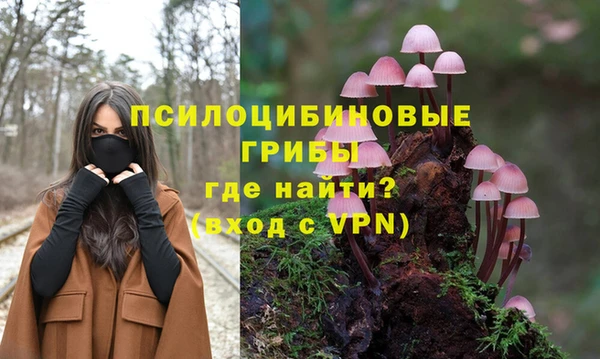 спайс Алексин