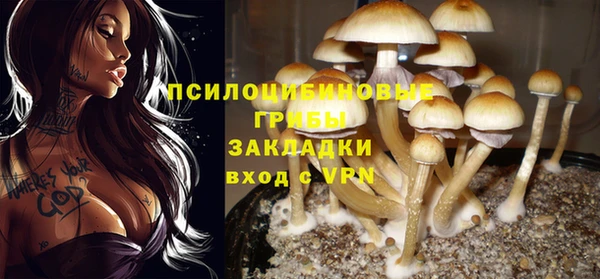 героин Алзамай