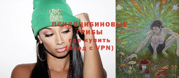 спайс Алексин